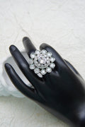 Zircons Rings